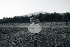 Wall Road Vineyard Mount Veeder