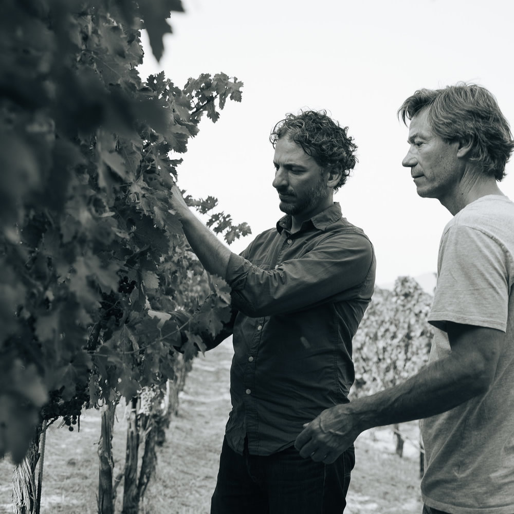 Diego Roig and John Boich inspecting grapevines