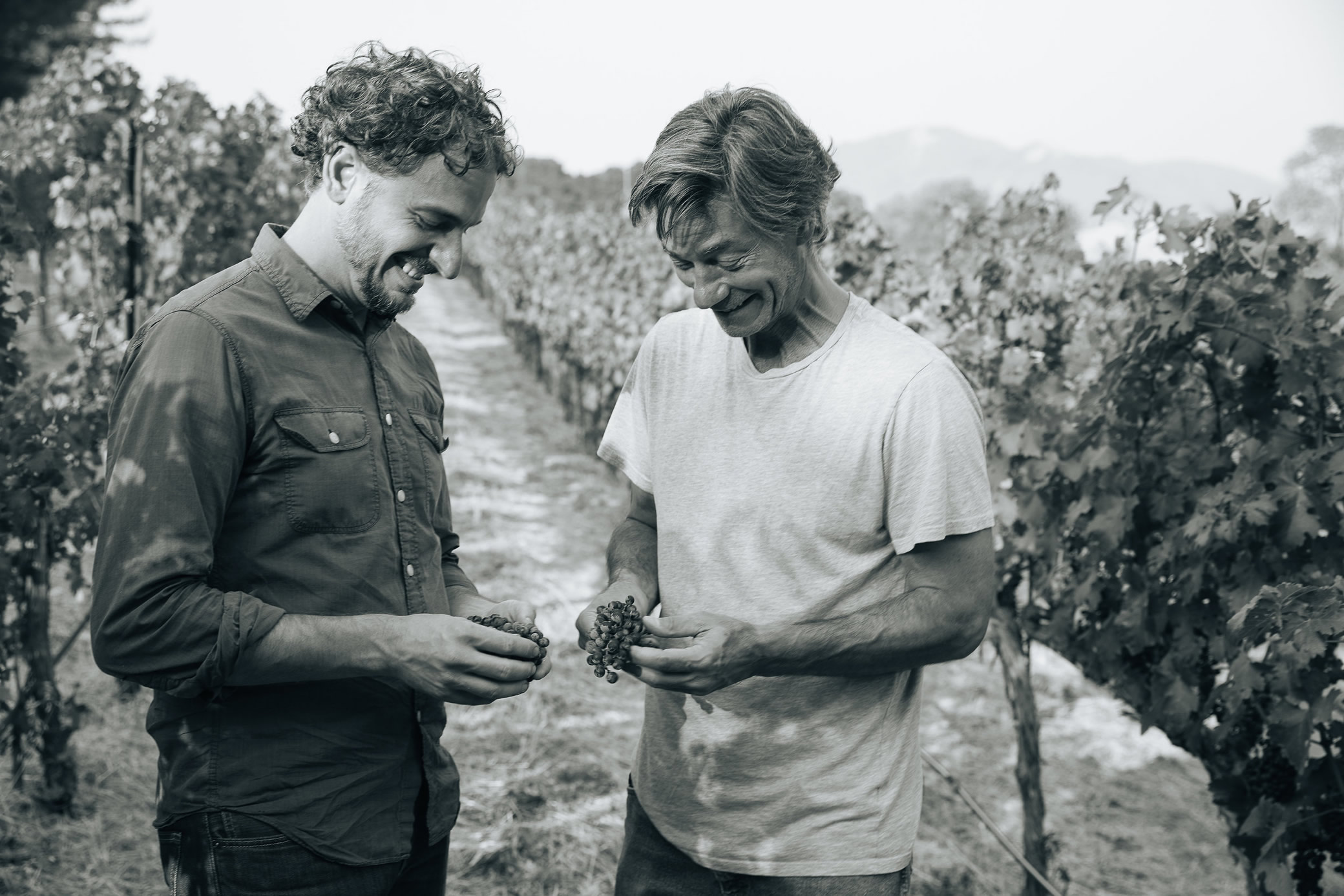 Diego Roig and John Boich inspecting grapes