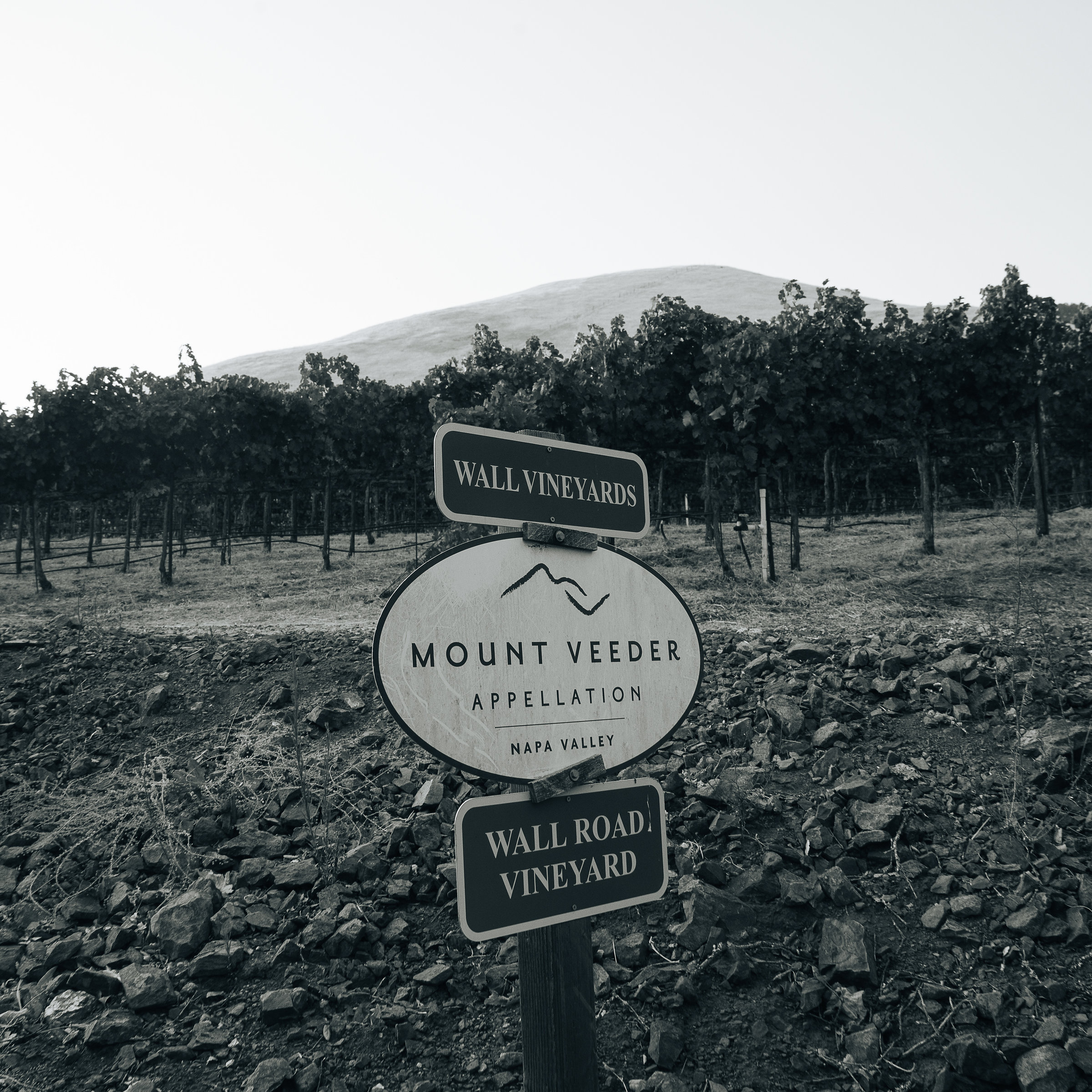 Wall Road Vineyard - Mount Veeder sign next to vineyard