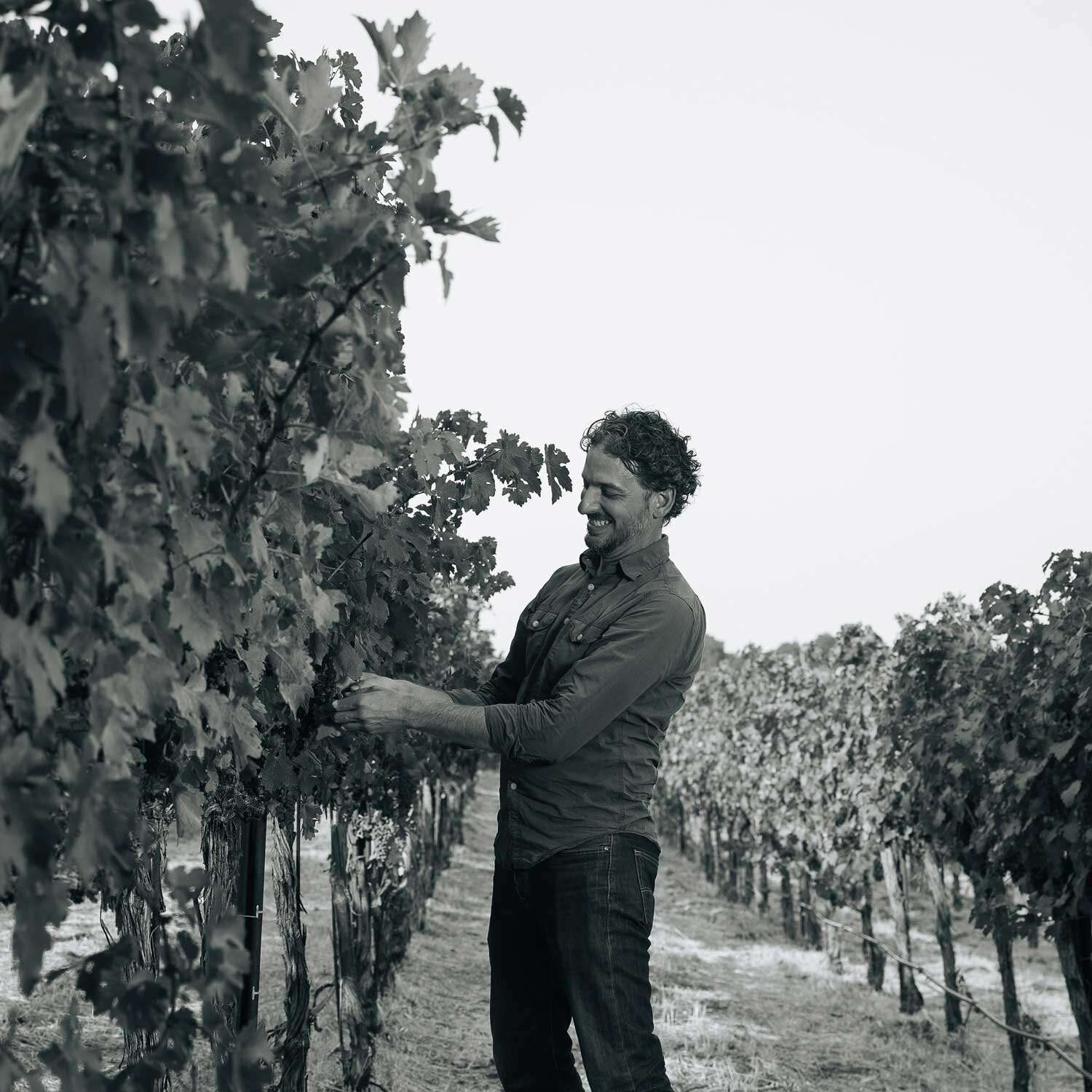 Diego Roig - Vineyard Manager