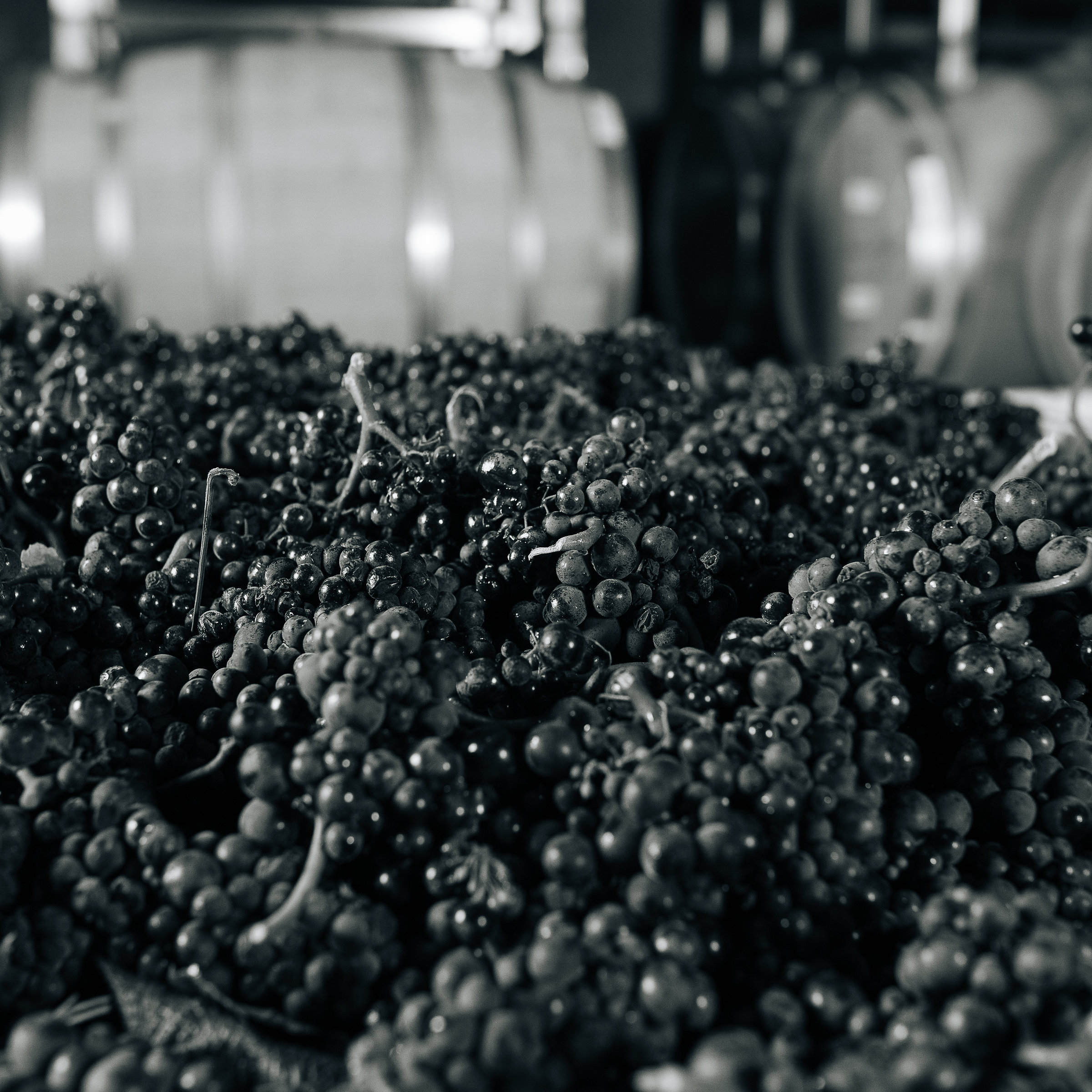 winemaker Jeff Ames
